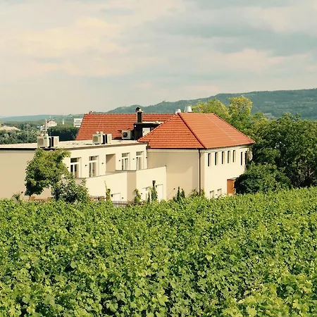 Wein-Gut Hutter 3* Krems an der Donau