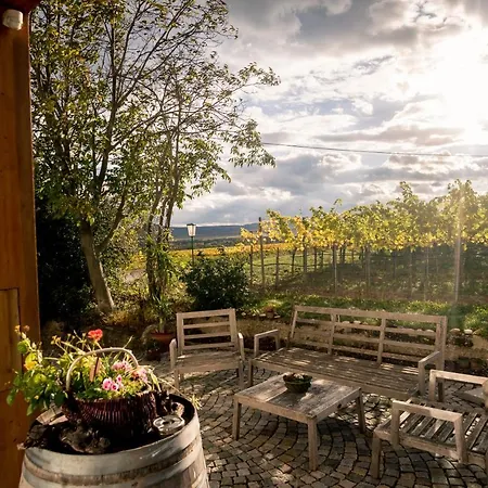 Wein-Gut Hutter Guest house